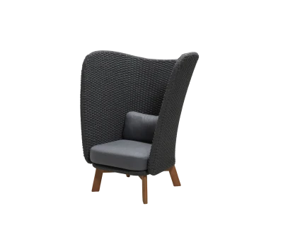Peacock Wing highback chair w/teak legs