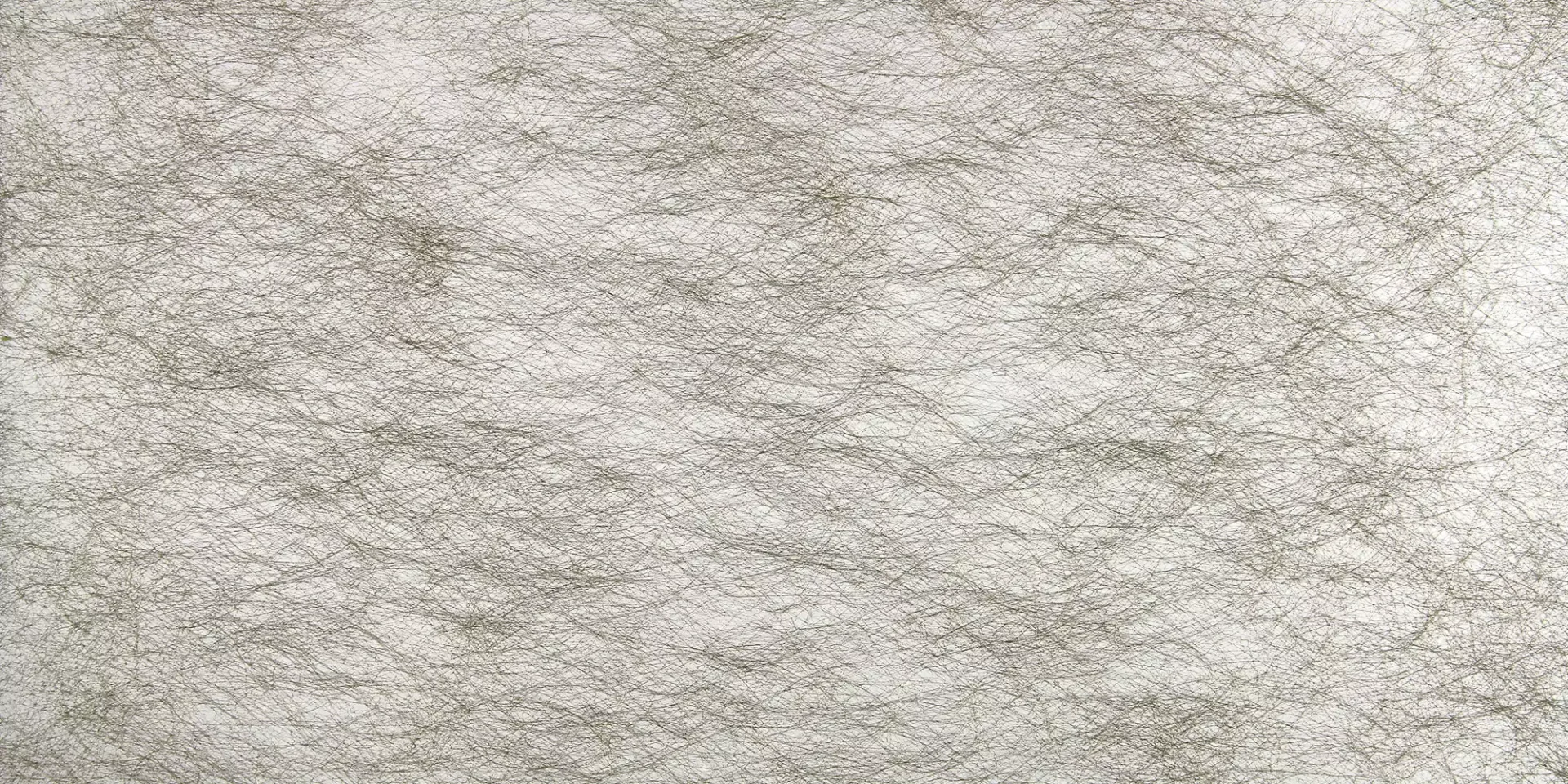 7031